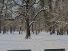 Winter im Englischen Garten in München