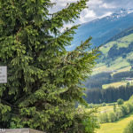 Schild "Salatschüsseln nicht Klo" an der Pass Thurn Bundesstraße in Österreich