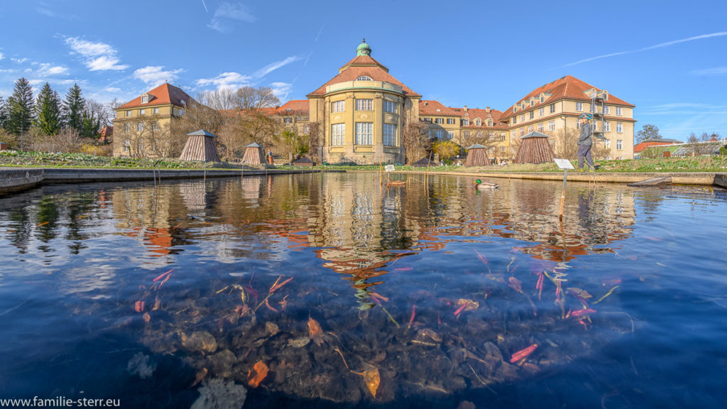 Botanisches Institut und kleiner Teich im Schmuckhof/ Botanischer Garten München