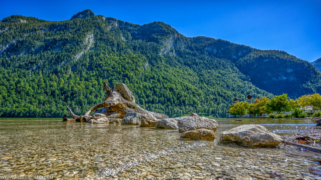 Steine und Wurzel im Königssee