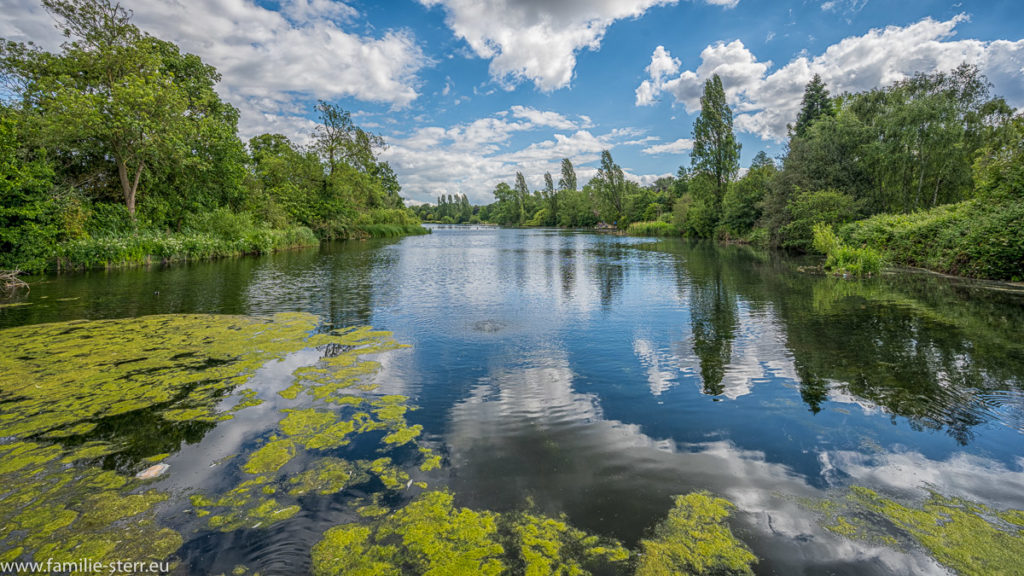 Serpentine - Teich im Hyde Park vom Italian Garden aus gesehen