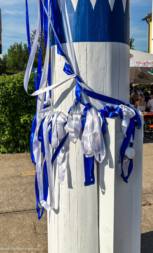 weiß-blaue Bänder am Maibaum für den Bändertanz des Burschenvereins beim Maifest 2024 in Goldach